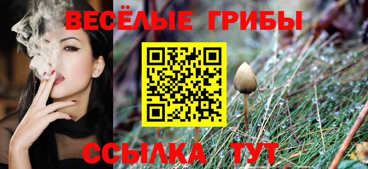 Галлюциногенные грибы прущие грибы Саранск