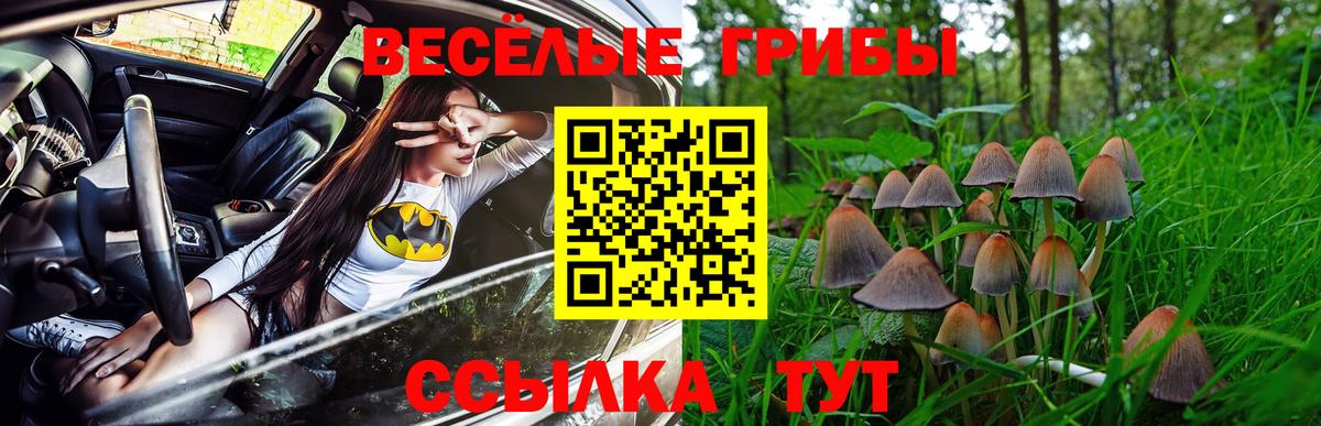 Саранск  Псилоцибиновые грибы ЛСД  Вход с VPN 